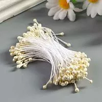 Тычинки общ., 20шт.